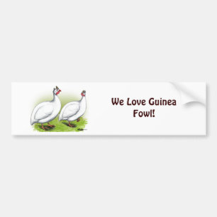 Guineas:  White Bumper Sticker