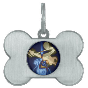 Guitar Music String Destiny Song and Dance Pet Name Tag