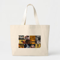 Guitar Photos Collage