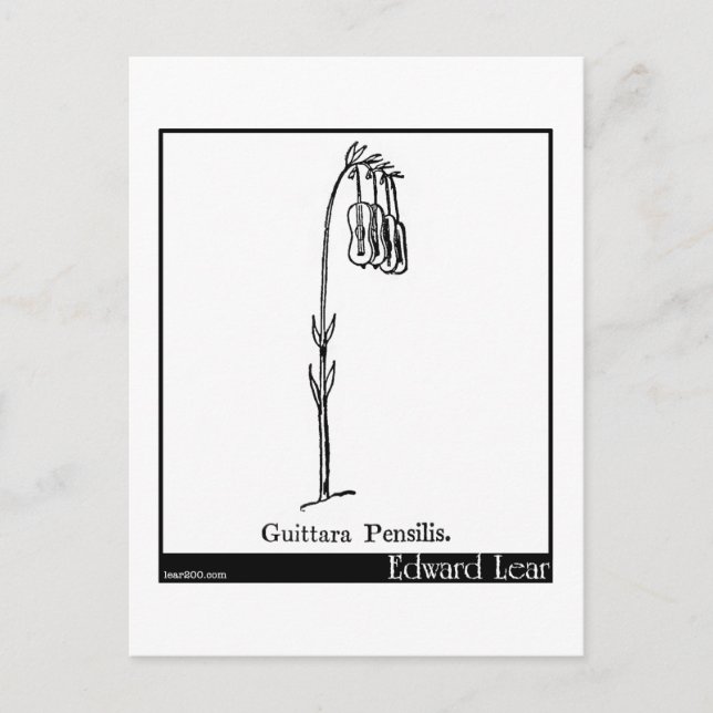 Guittara Pensilis. Postcard (Front)