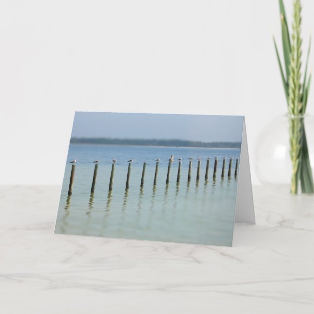 Gulf Coast - Let's Hang Out Greeting Card (Front)