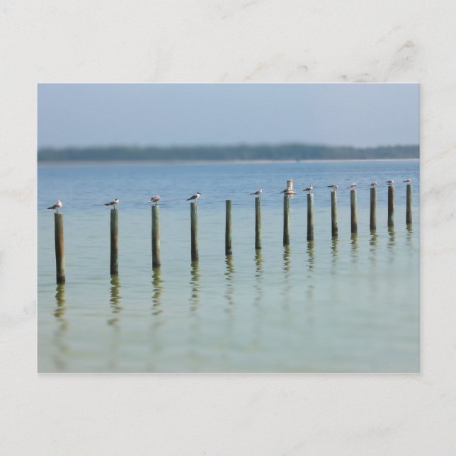 Gulf Coast - Let's Hang Out Postcard (Front)