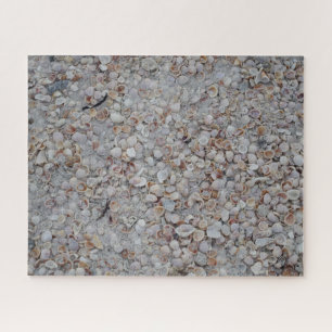 Gulf Coast Seashells Beach Puzzle