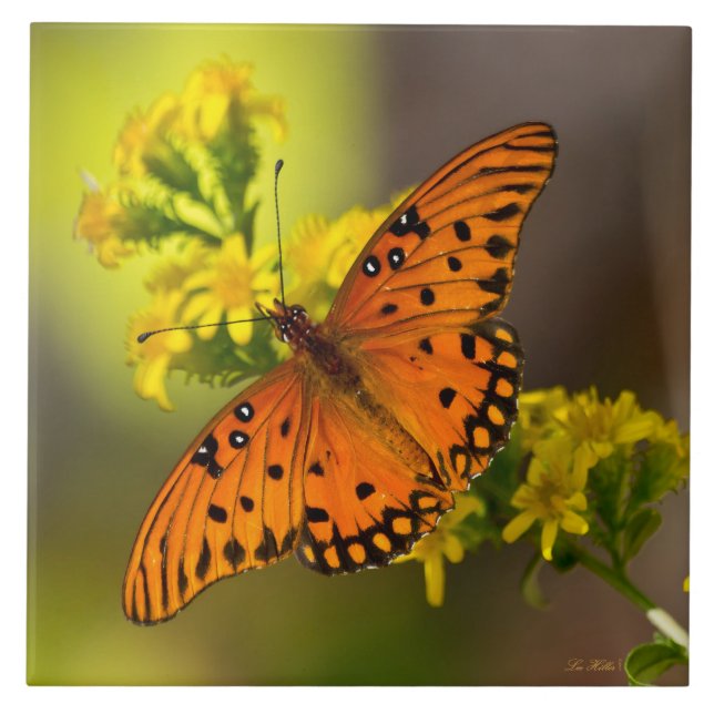 Gulf Fritillary aka Passion Butterfly on Goldenrod Ceramic Tile (Front)