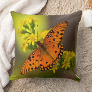 Gulf Fritillary aka Passion Butterfly on Goldenrod Cushion