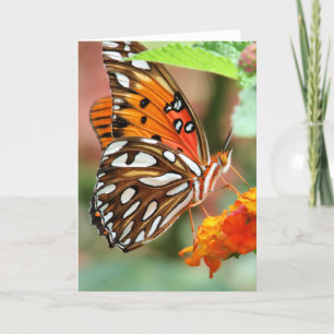 Gulf Fritillary Butterfly Card