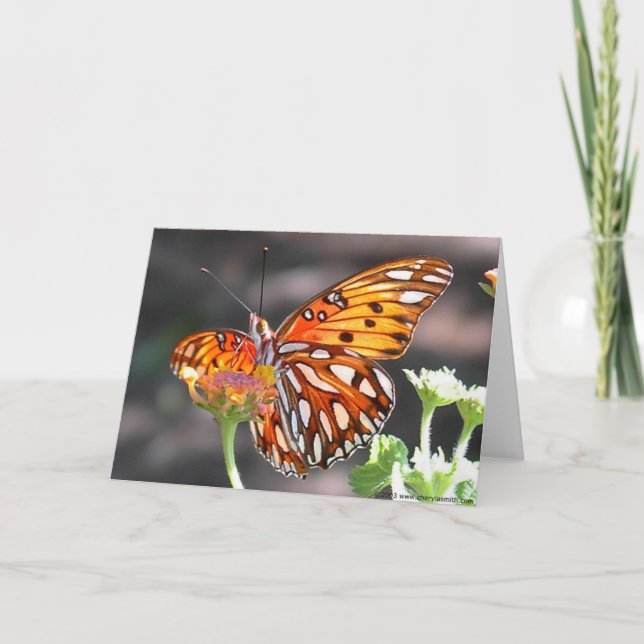 Gulf Fritillary Butterfly Greeting Card (Front)