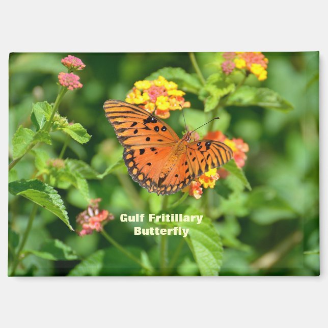 Gulf Fritillary Butterfly Magnet (Front)