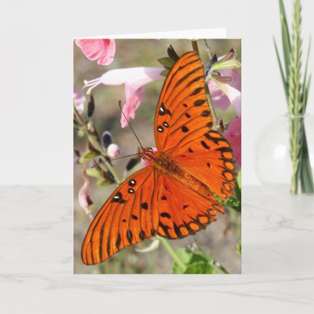 Gulf Fritillary Butterfly Notecard (Front)