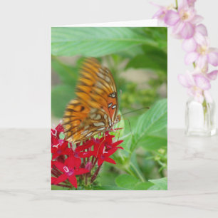Gulf Fritillary Butterfly on Red Penta Flower Card