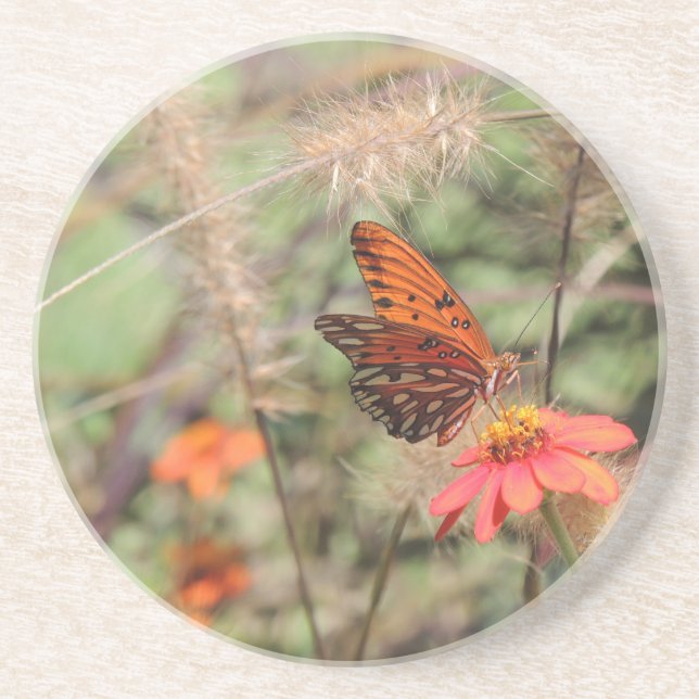 Gulf Fritillary on Zinnia Coaster (Front)