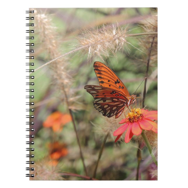 Gulf Fritillary on Zinnia Notebook (Front)