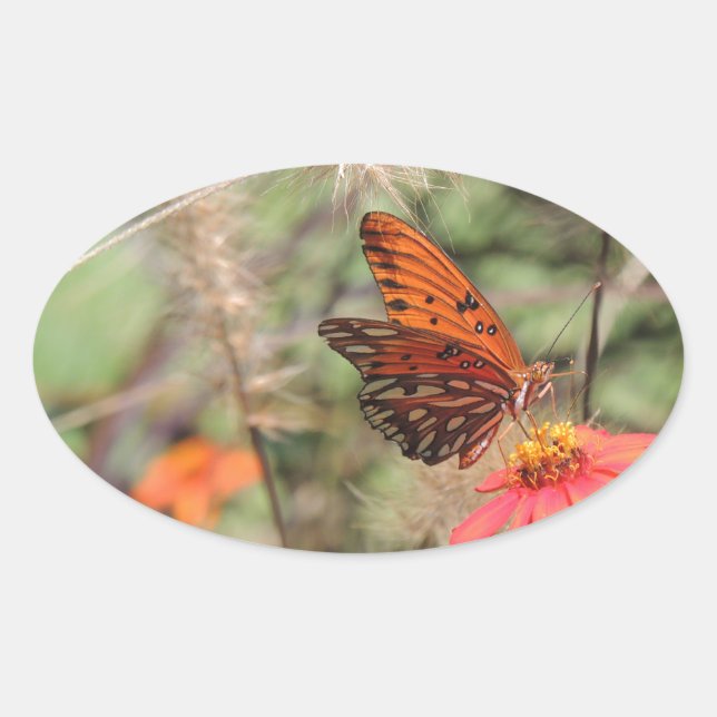 Gulf Fritillary on Zinnia Oval Sticker (Front)