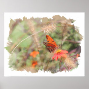 Gulf Fritillary on Zinnia Watercolor Print