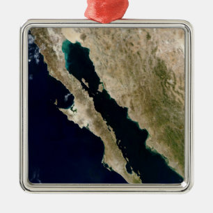 Gulf of California Metal Tree Decoration