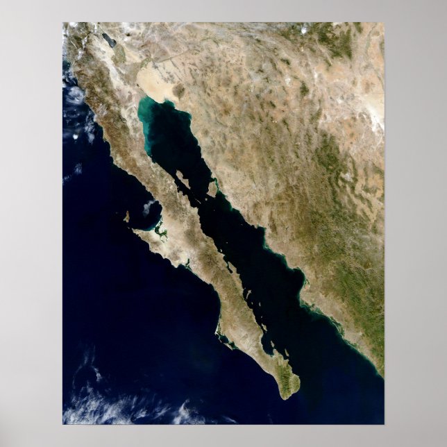 Gulf of California Poster (Front)