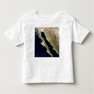 Gulf of California Toddler T-Shirt