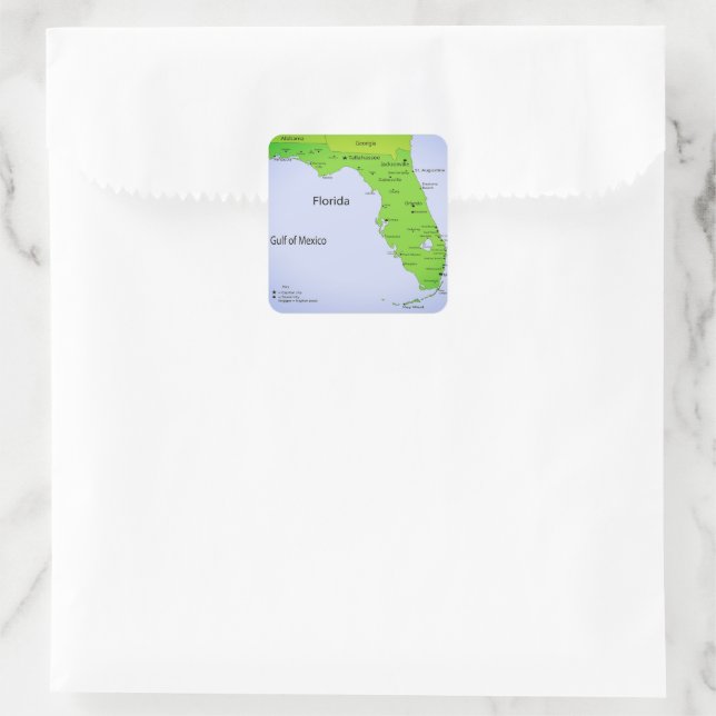 GULF OF MEXICO  SQUARE STICKER (Bag)