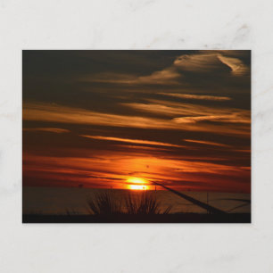 Gulf Shores Plantation Postcard