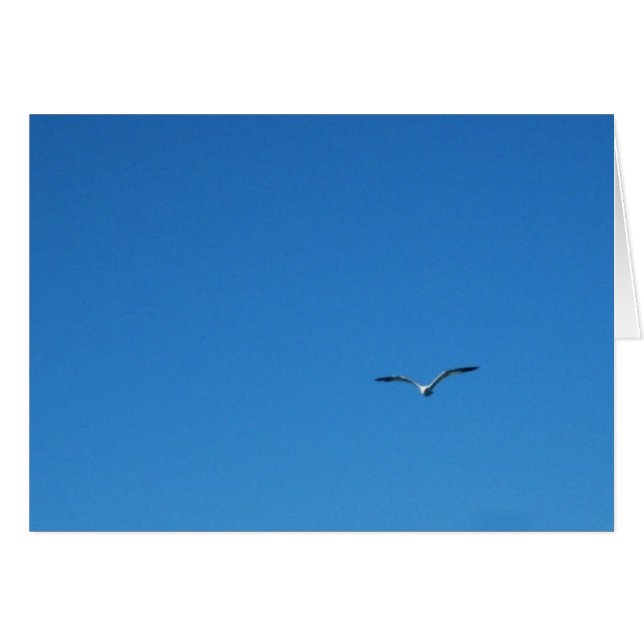 Gull (Front Horizontal)