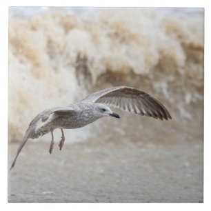 Gull Bird Flying Ceramic Tile