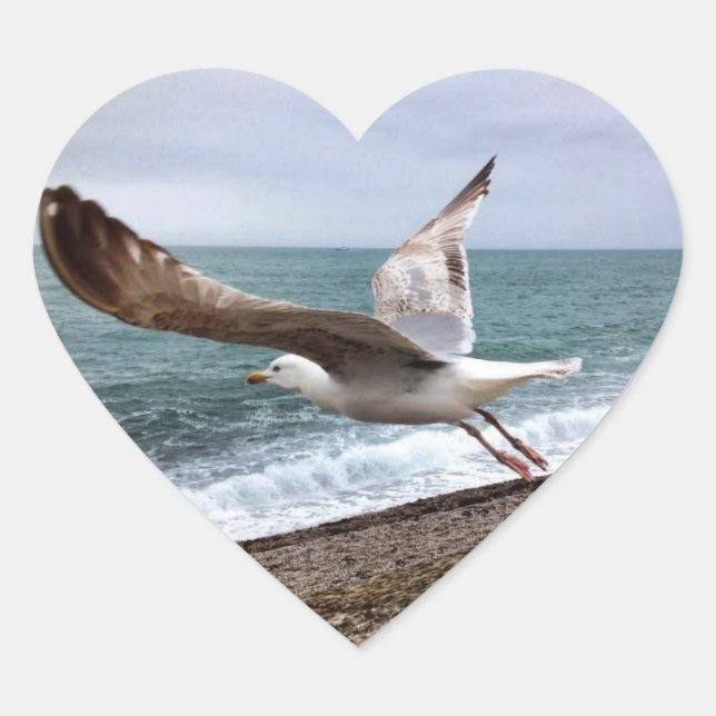 Gull Etretat France Heart Sticker (Front)