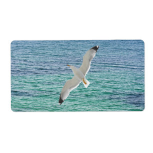 Gull flying above a sea