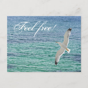 Gull flying above a sea postcard
