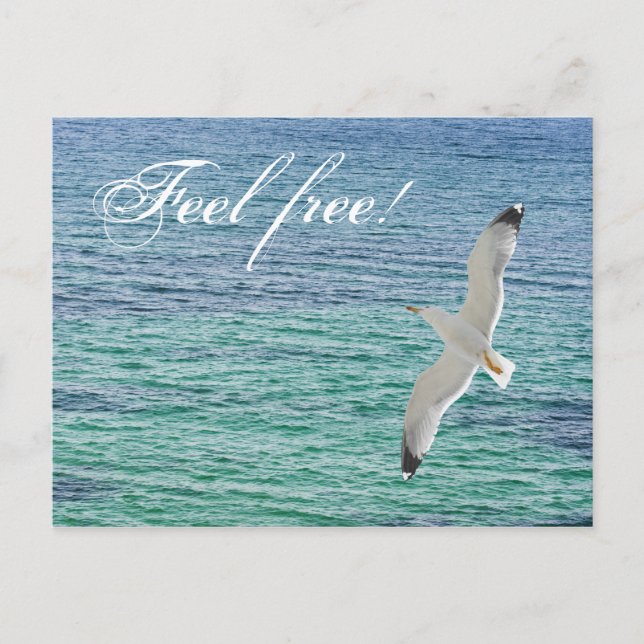 Gull flying above a sea postcard (Front)