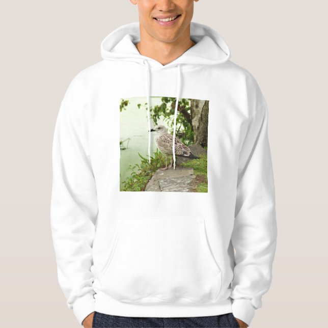 Gull Hoodie (Front)