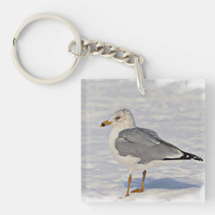Gull in the snow key ring