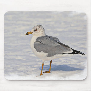 Gull in the snow mouse pad