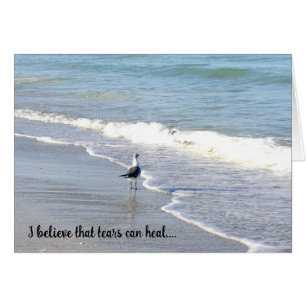 Gull in the Surf "believe"