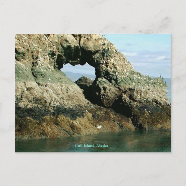 Gull Island, Alaska Postcard (Front)