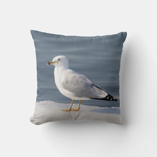 Gull on ice cushion (Front)