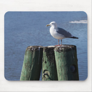 Gull on Pilings Mouse Pad