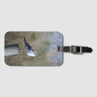 Gull on Post Luggage Tag