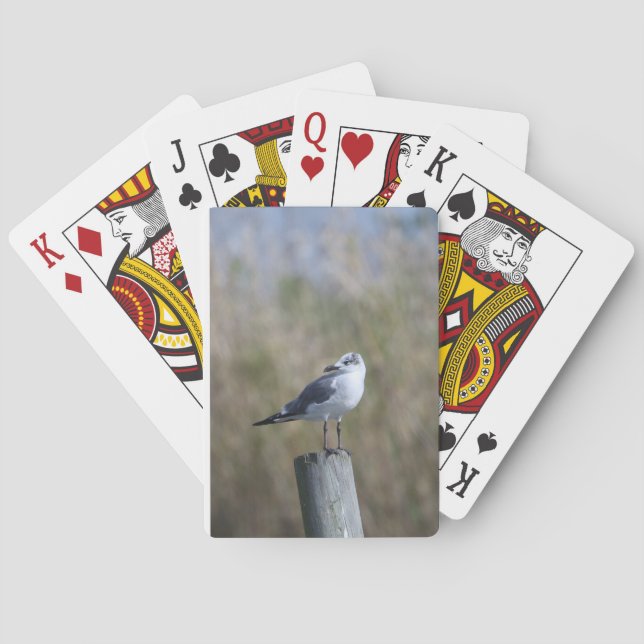 Gull on Post Playing Cards (Back)