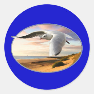 Gull on the Wing Over Beach Classic Round Sticker