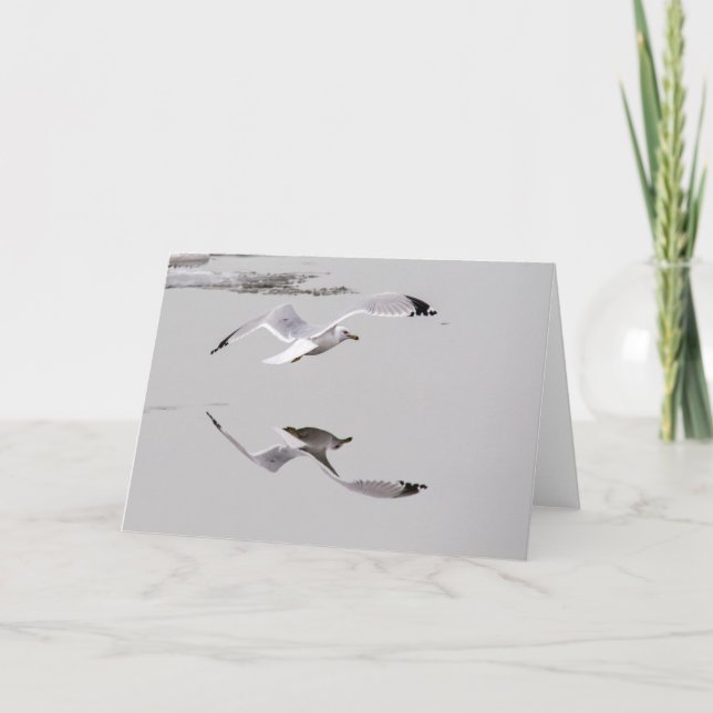 Gull Reflected Card (Front)