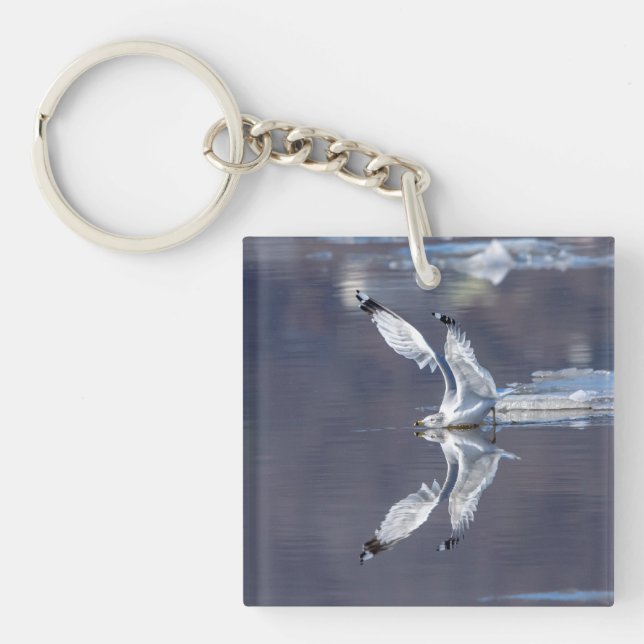 Gull Reflections Key Ring (Front)