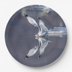 Gull Reflections Paper Plate