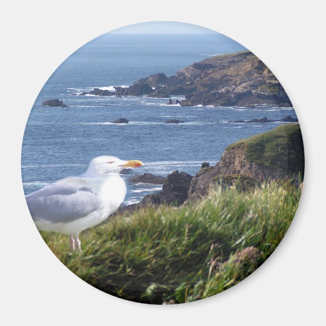 GullCoast Magnet (Front)