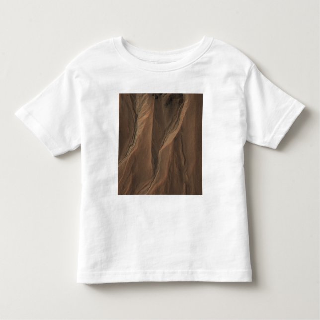 Gullies at the Edge of Hale Crater, Mars Toddler T-Shirt (Front)