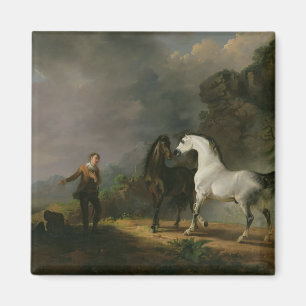 Gulliver Addressing the Houyhnhnms, 1769 (oil on c Magnet