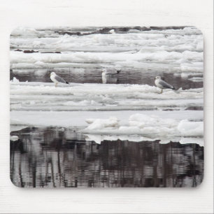 Gulls On Ice Mouse Pad
