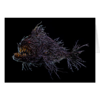 Gully Grouper