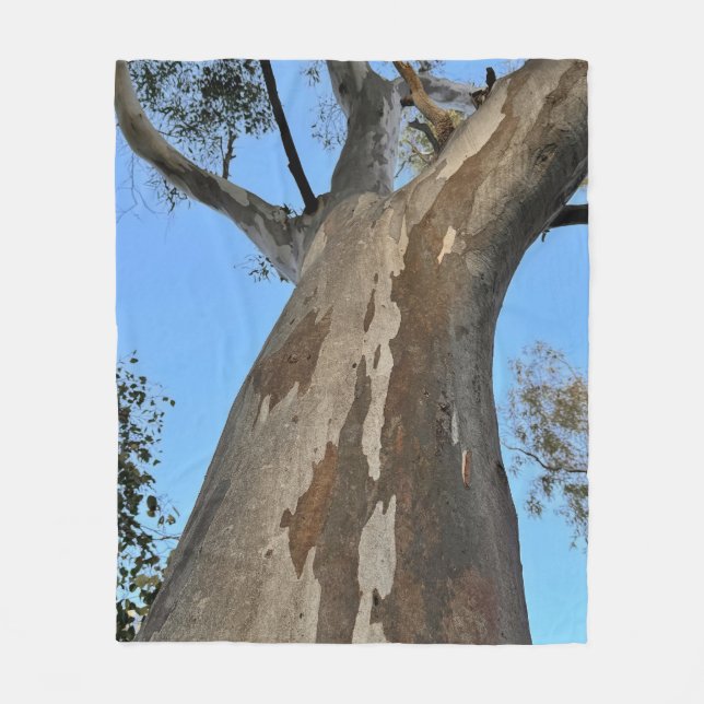 Gum Tree on Blue Blanket (Front)