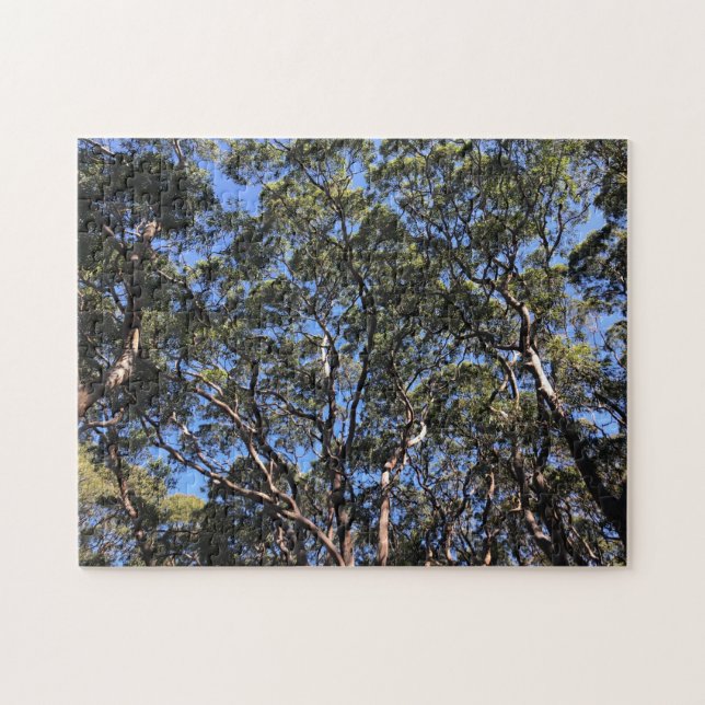 gum trees jigsaw puzzle (Horizontal)