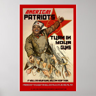 Gun Confiscation - 2nd Ammendment Poster